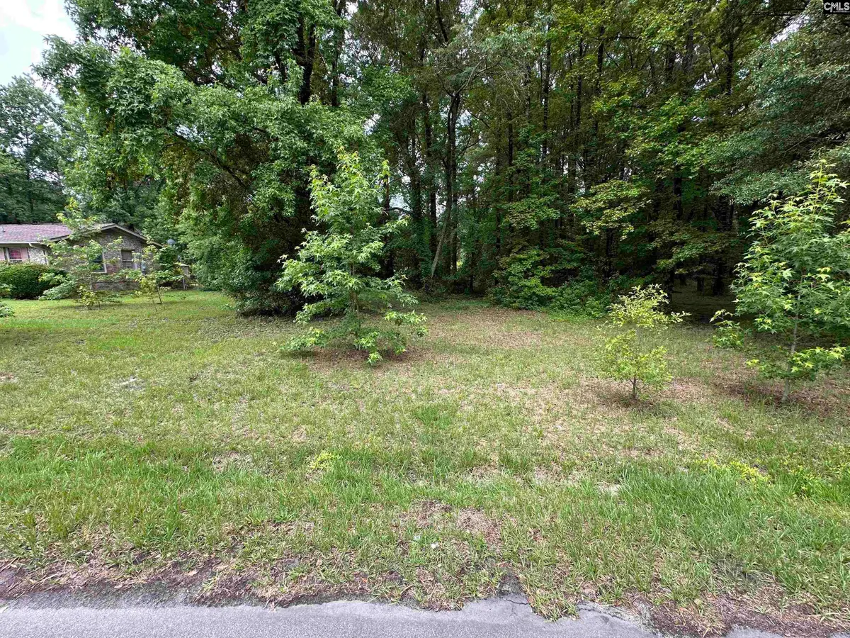 2704 Granite Hill Road, Cayce, SC 29033 - #1