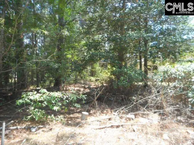 144 Gillins Terrace Road, West Columbia, SC 29172 - #3