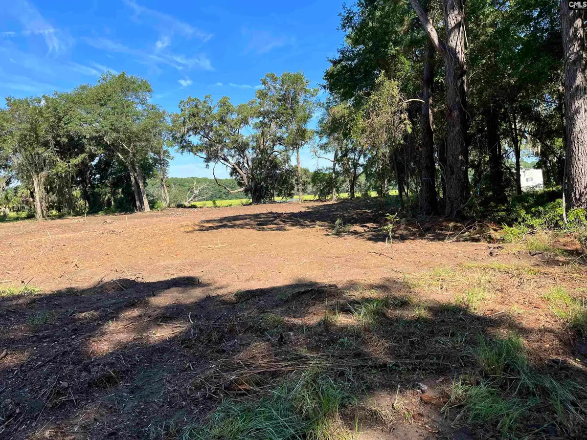 141B Coffin Point Road, Saint Helena Island, SC 29920 - #1
