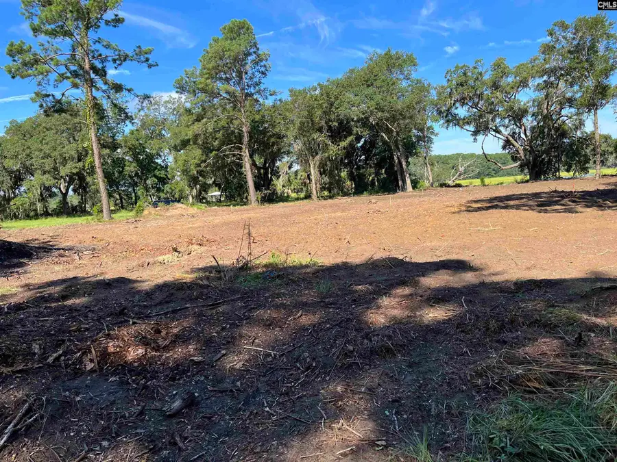 141B Coffin Point Road, Saint Helena Island, SC 29920 - #2