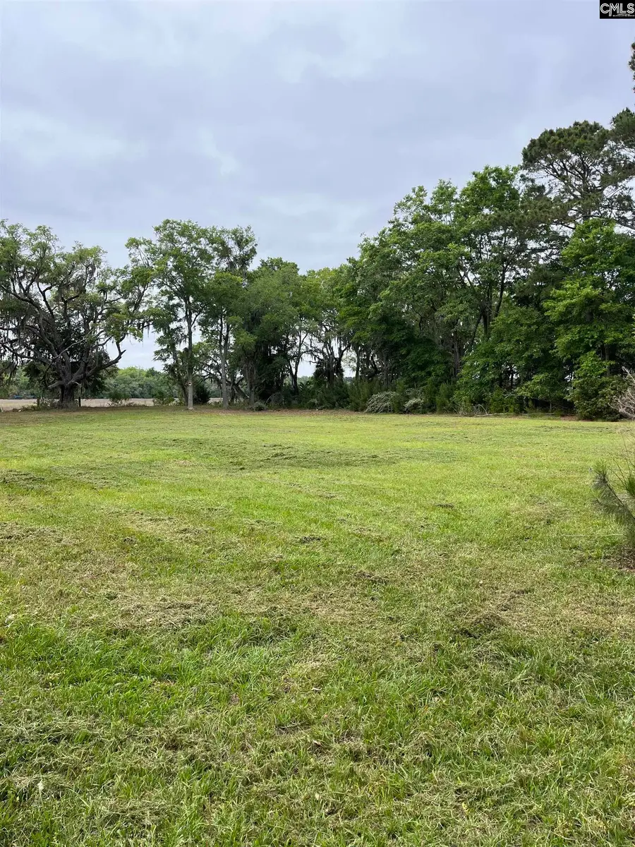 141B Coffin Point Road, Saint Helena Island, SC 29920 - #3