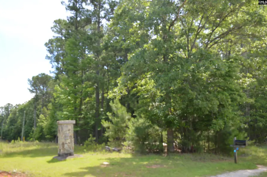 13 Colonels, Ridgeway, SC 29130 - #2