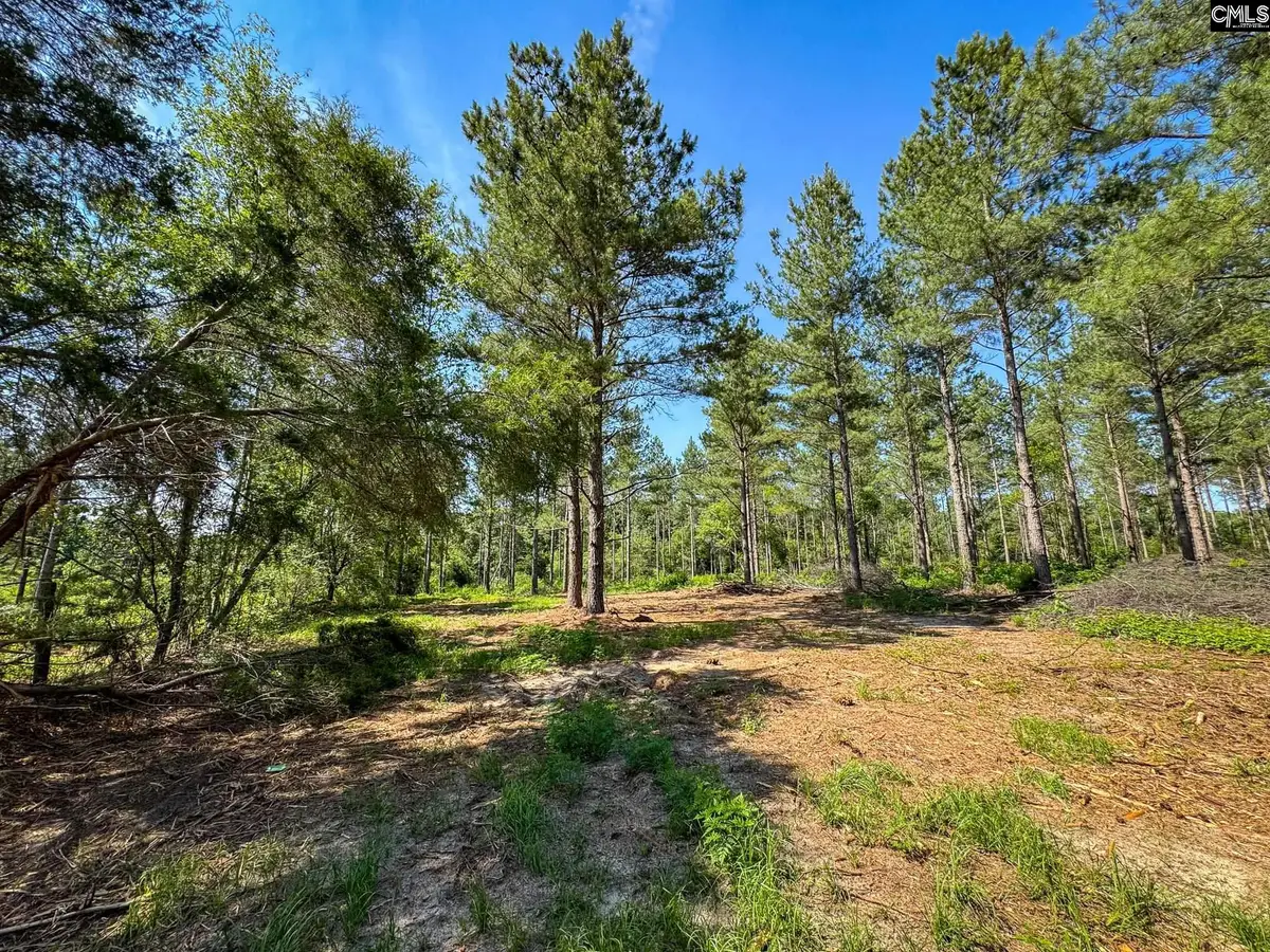 0 Lewis Waters Road #Lot 2, Leesville, SC 29070 - #1