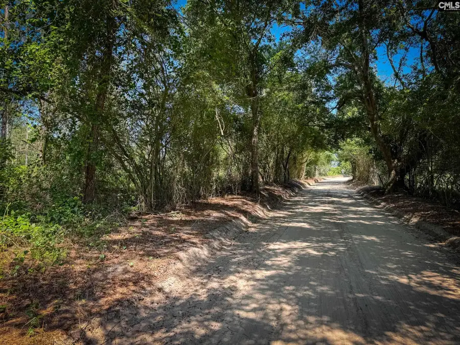 0 Lewis Waters Road #Lot 3, Leesville, SC 29070 - #2