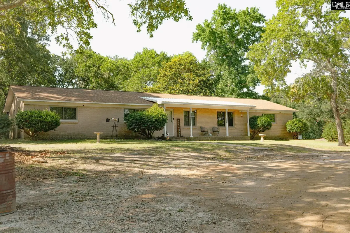 189 Crystal Springs Drive, Lexington, SC 29073 - #1