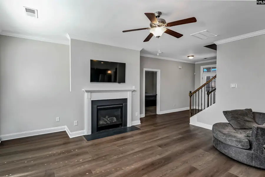 222 Bowyer Court, Chapin, SC 29036 - #3
