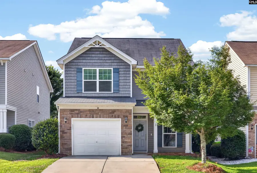 222 Jackstay Court, Chapin, SC 29036 - #2