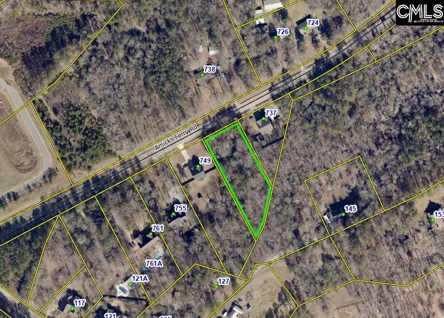 743 Amicks Ferry Road, Chapin, SC 29036 - #2