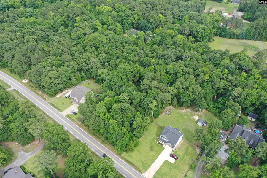 743 Amicks Ferry Road, Chapin, SC 29036 - #3