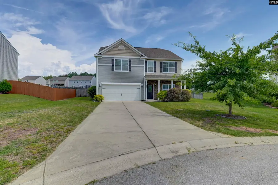 869 Sunseeker Drive, Chapin, SC 29036 - #3