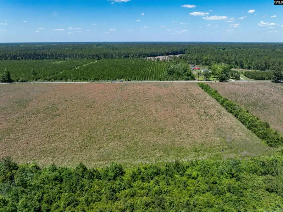 0000 Williams Hill Road #1, Hemingway, SC 29954 - #3