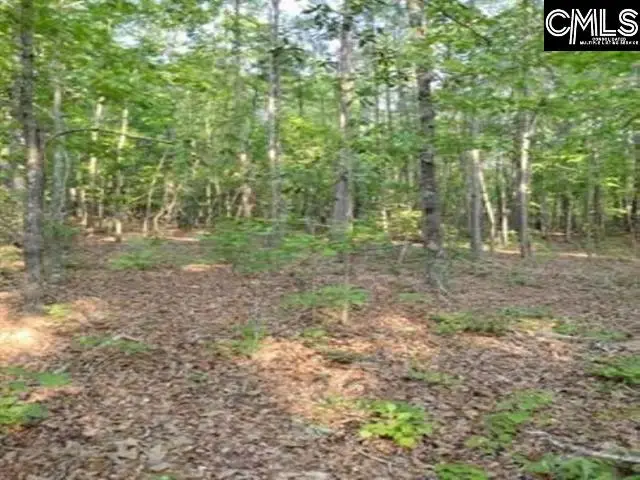 Lake Dogwood Circle, Eastover, SC 29044 - #1
