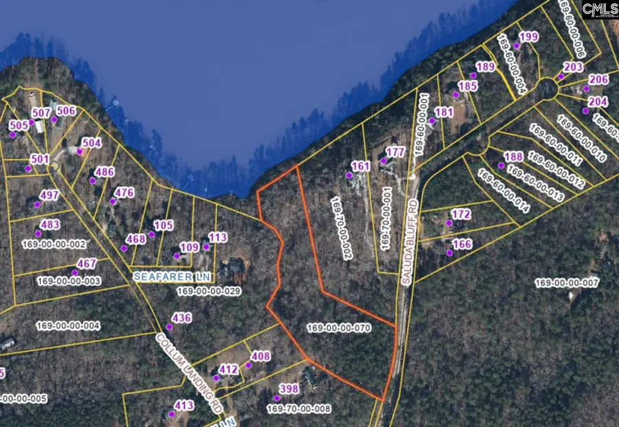 TBD Saluda Bluff Road, Batesburg, SC 29006 - #3