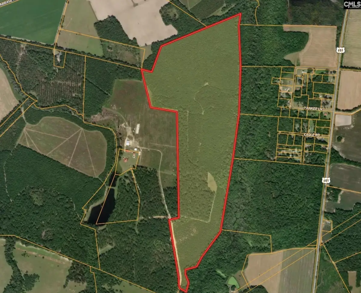 0 Rizer Cemetery Road, Ehrhardt, SC 29081 - #1