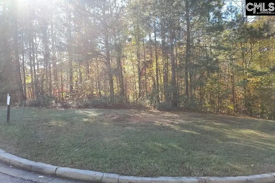 420 Links Crossing Drive, Blythewood, SC 29016 - #2