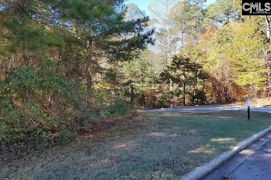 420 Links Crossing Drive, Blythewood, SC 29016 - #3