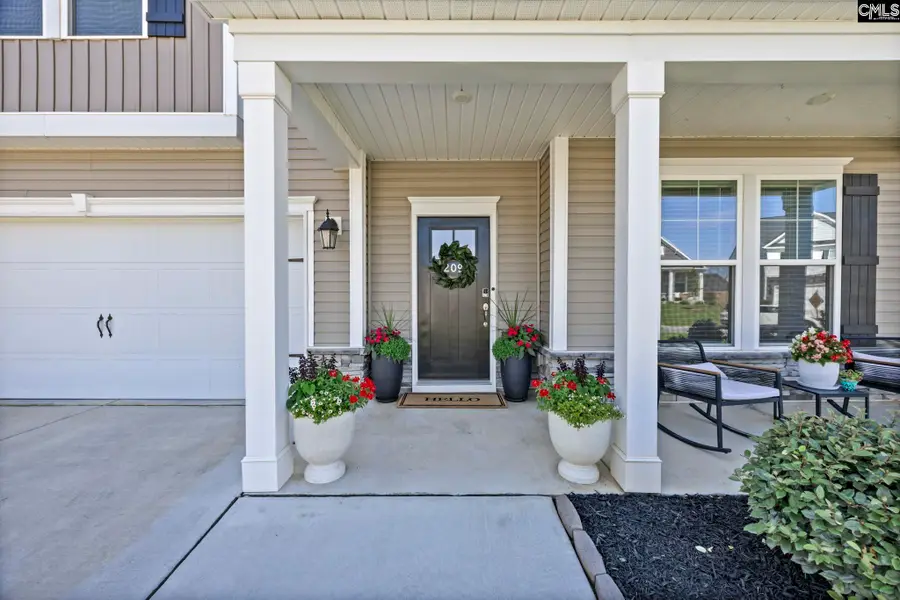 209 Chapin Place Way, Chapin, SC 29036 - #2