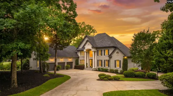 226 Forty Love Point, Chapin, SC 29036