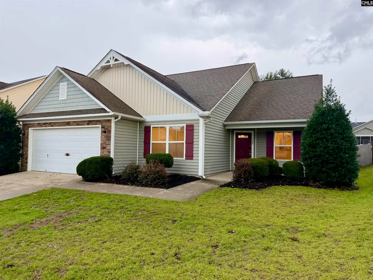 328 Baneberry Loop, Lexington, SC 29073 - #1