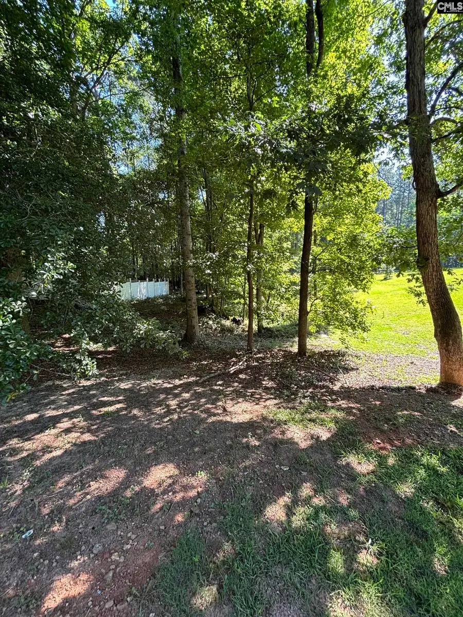 320 Oakhurst Place, Blythewood, SC 29016 - #3