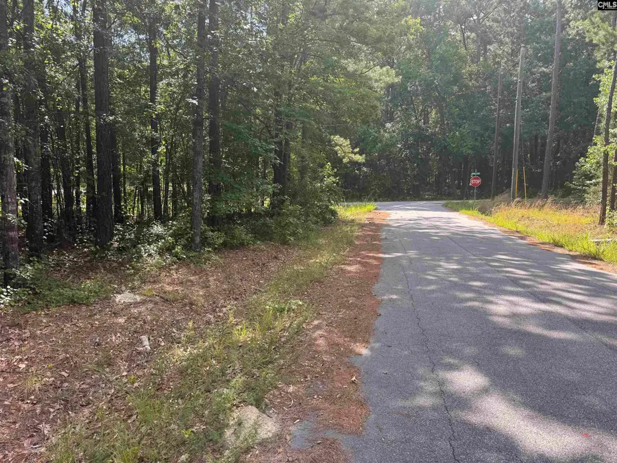 209 Ted Street, Columbia, SC 29203 - #2