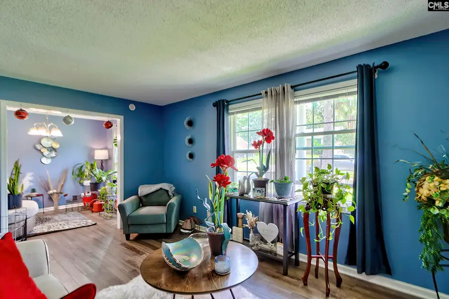 209 Sommerset Drive, Columbia, SC 29223 - #2
