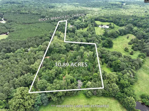 0 Rocky Branch Road, Chapin, SC 29036