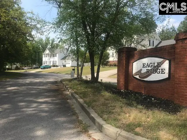 420 Eagle Ridge Court, Gaston, SC 29053 - #2