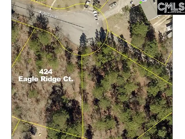 424 Eagle Ridge Court, Gaston, SC 29053
