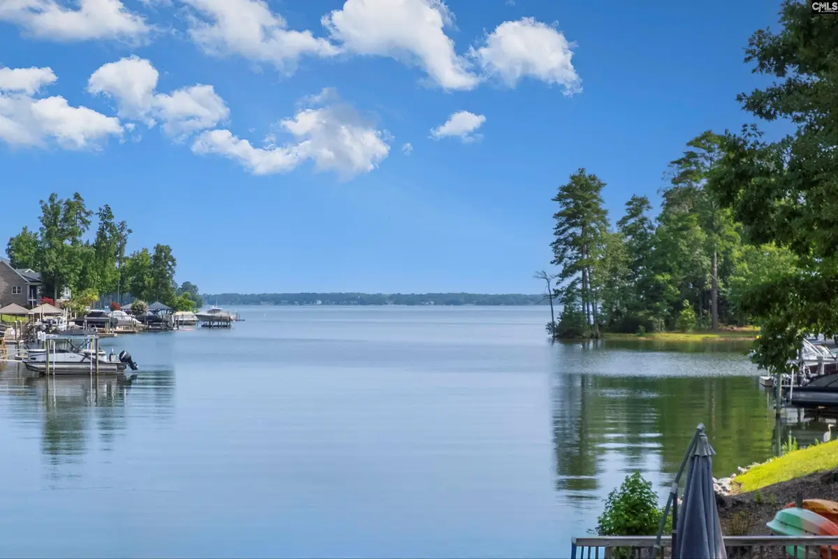 105 Palmetto Cove Lane, Lexington, SC 29072 - #1