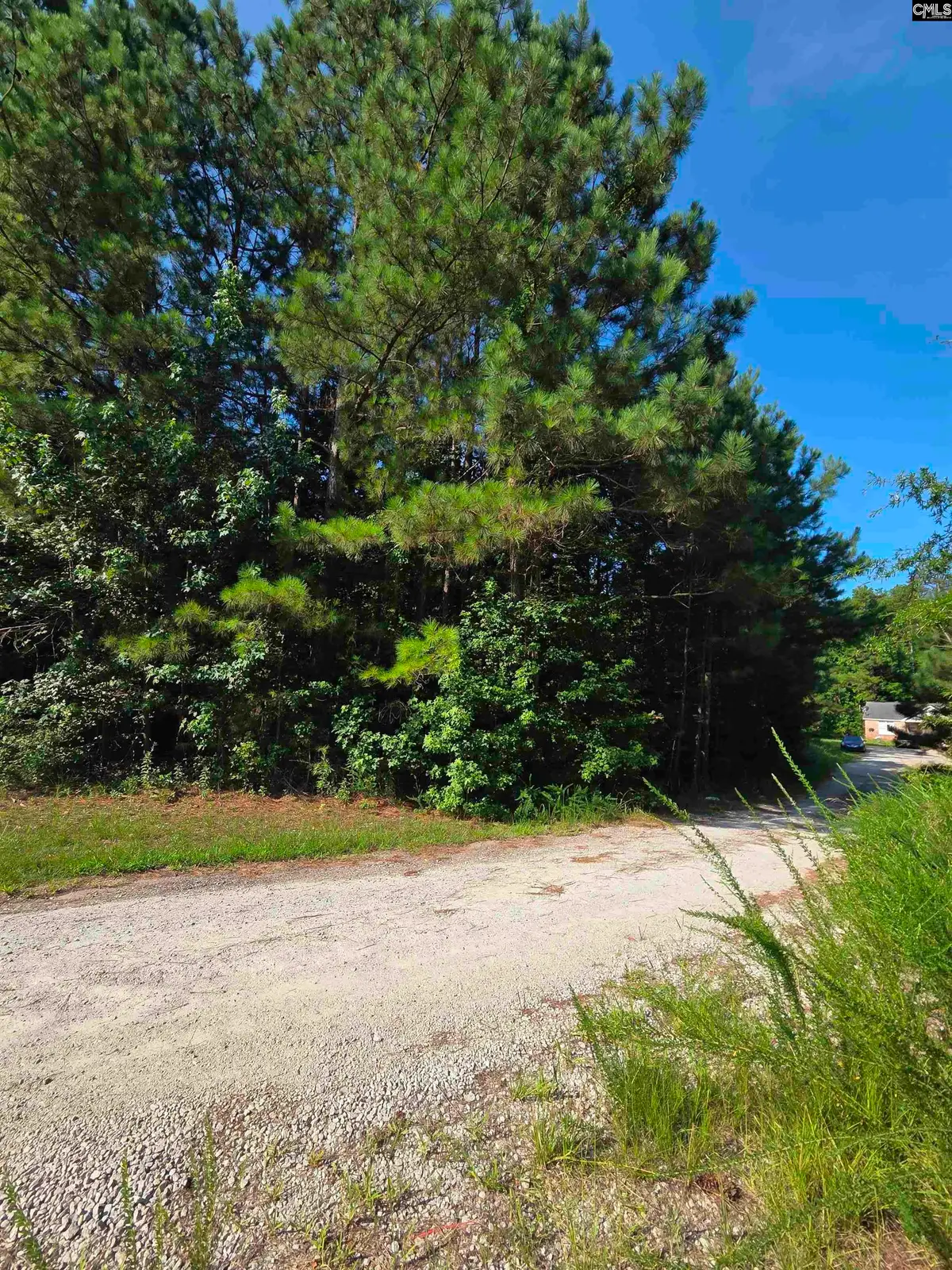 135 Longleaf Court Lot 4, Ridgeway, SC 29130 - #1