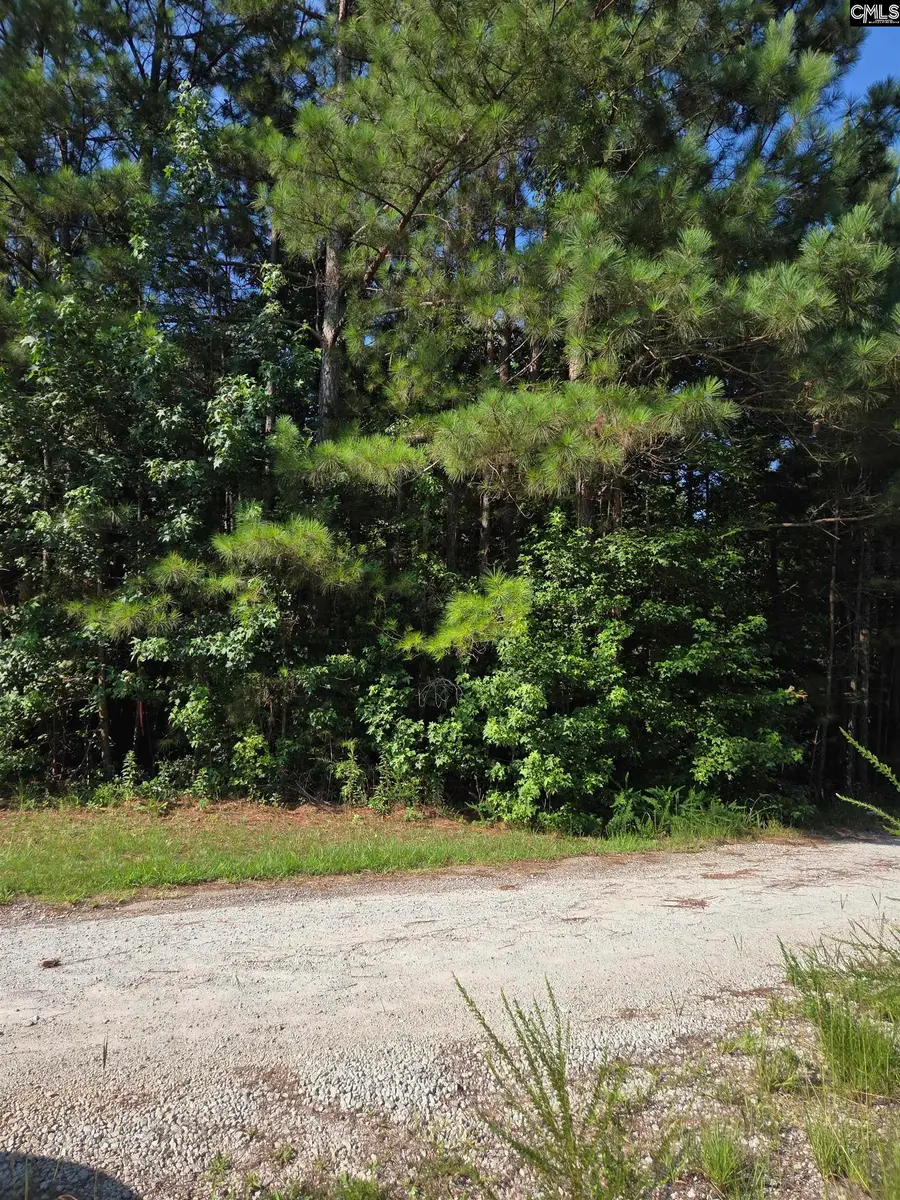 135 Longleaf Court Lot 4, Ridgeway, SC 29130 - #2