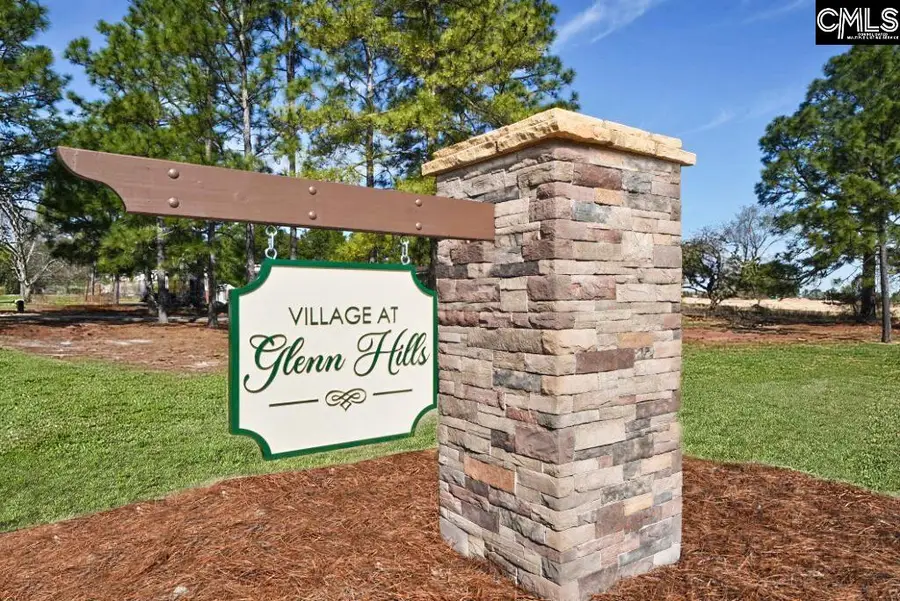 645 Richmond Road, Gaston, SC 29053 - #2
