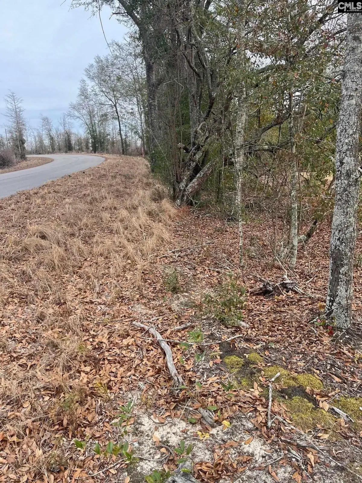 WHL 7 Rainbow Drive #WHL 7, Salley, SC 29137 - #1