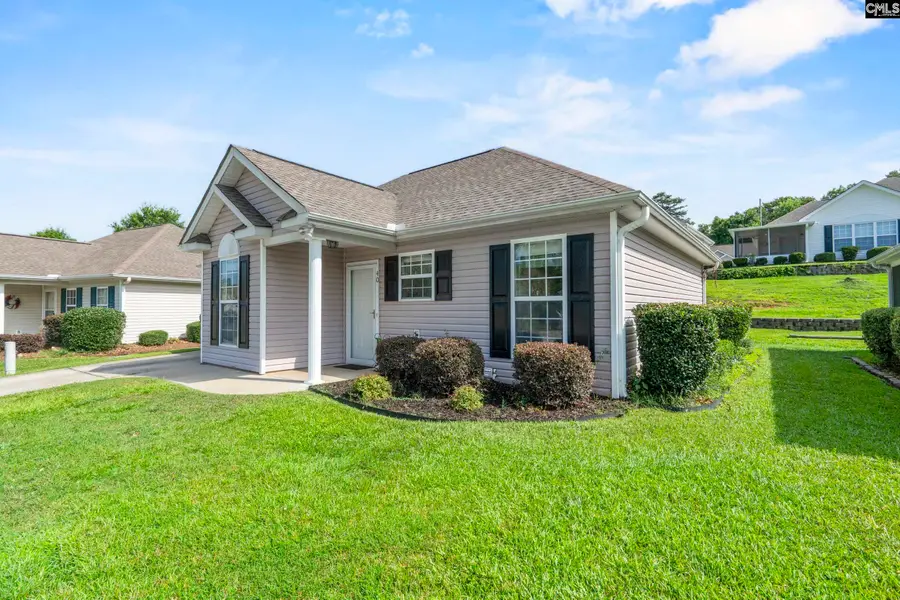 40 Southwoode Circle, Chapin, SC 29036 - #2