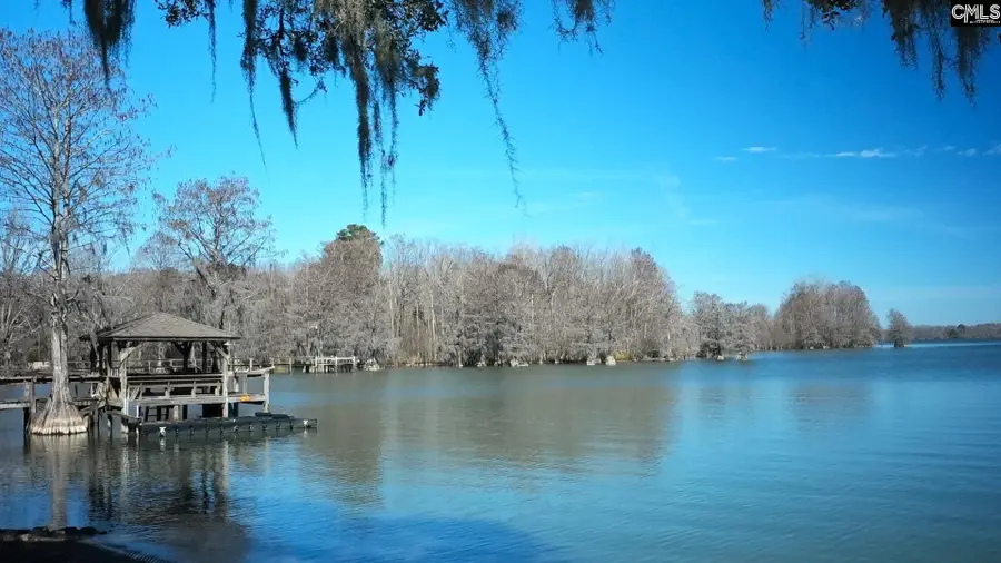 1010 Mulligan Drive, Manning, SC 29102 - #2