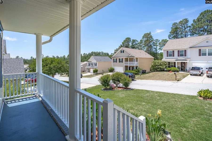 119 Silverberry Drive, Lexington, SC 29073 - #3