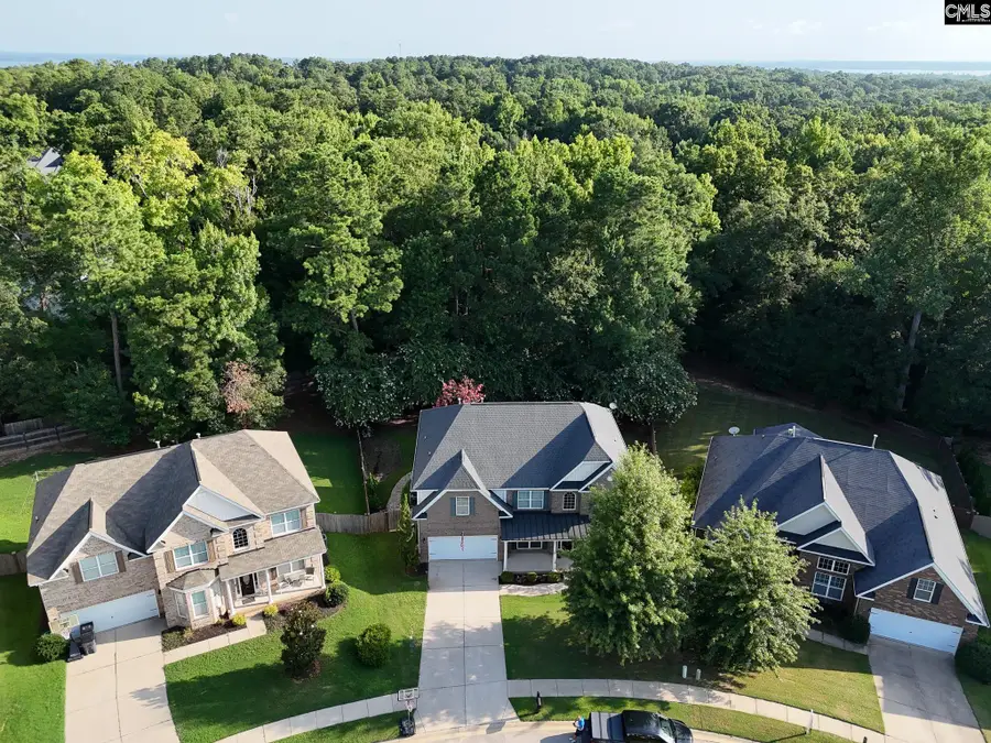 358 Bronze Drive, Lexington, SC 29072 - #2