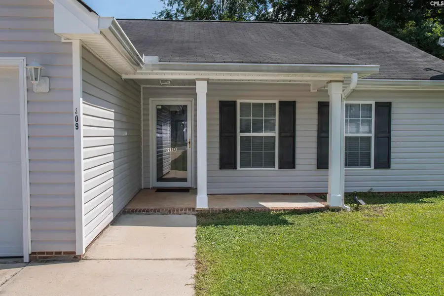 309 Cutter Court, Chapin, SC 29036 - #2