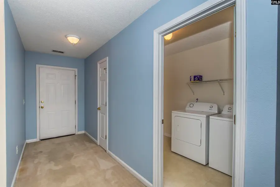 309 Cutter Court, Chapin, SC 29036 - #3