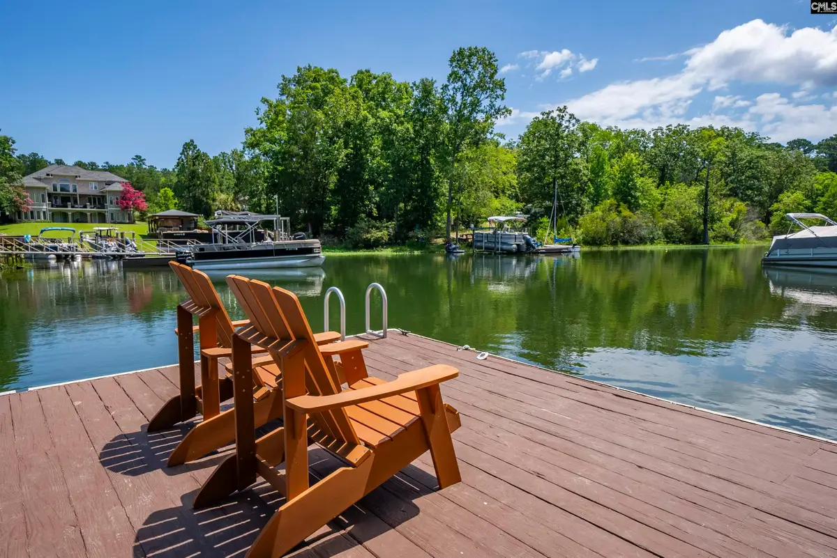 123 Waxhaws Trace, Chapin, SC 29036 - #1