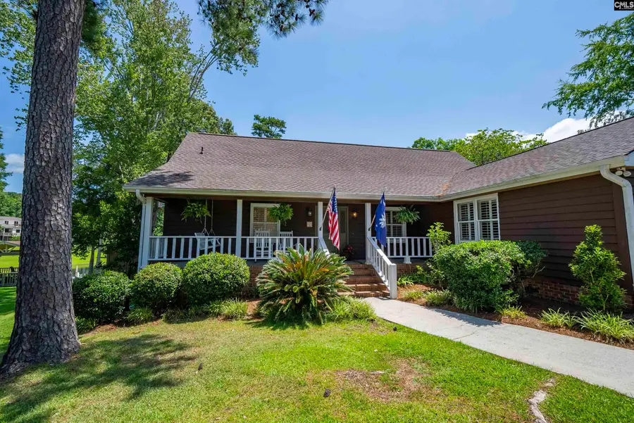 123 Waxhaws Trace, Chapin, SC 29036 - #2