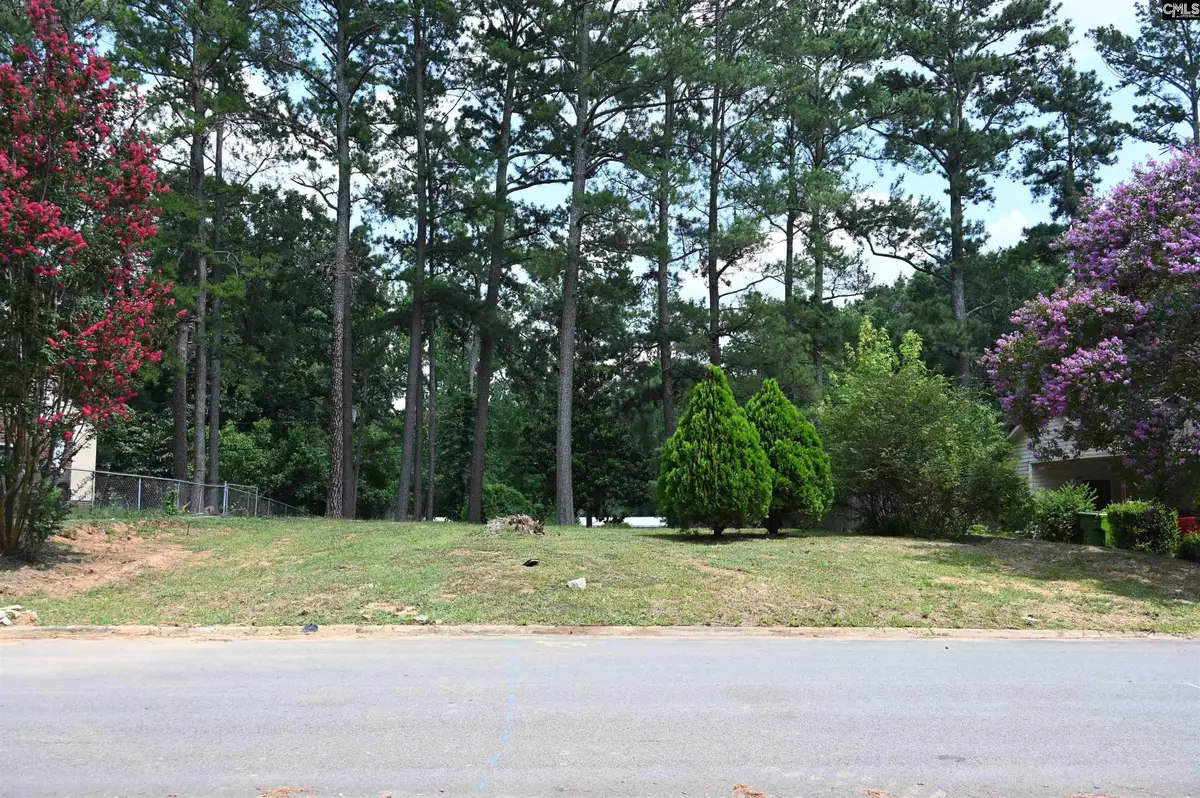 1104 Flamingo Drive, Columbia, SC 29203 - #1
