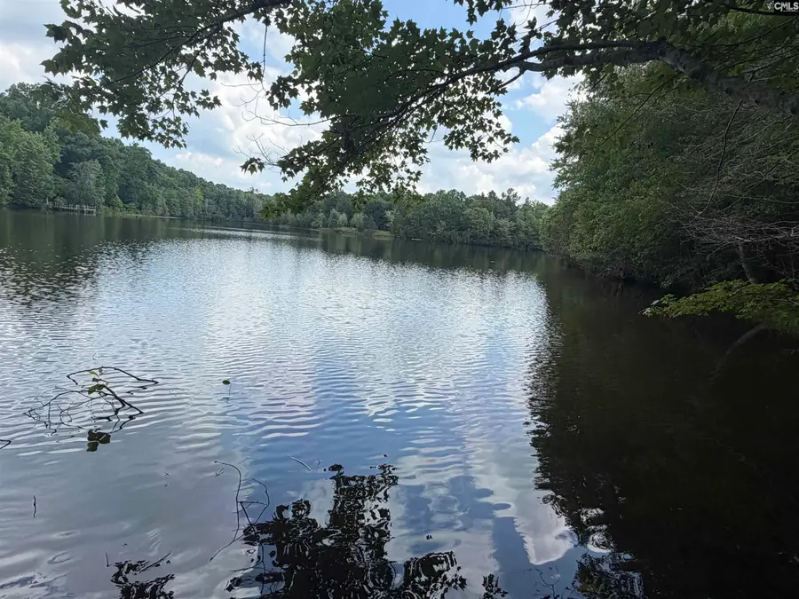 789 Ira Kinard Road, Prosperity, SC 29127 - #3