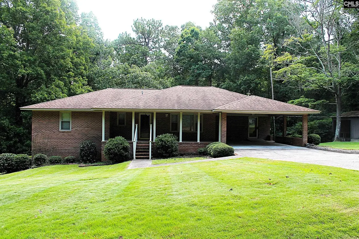 155 Pinewood Drive, Chapin, SC 29036 - #1