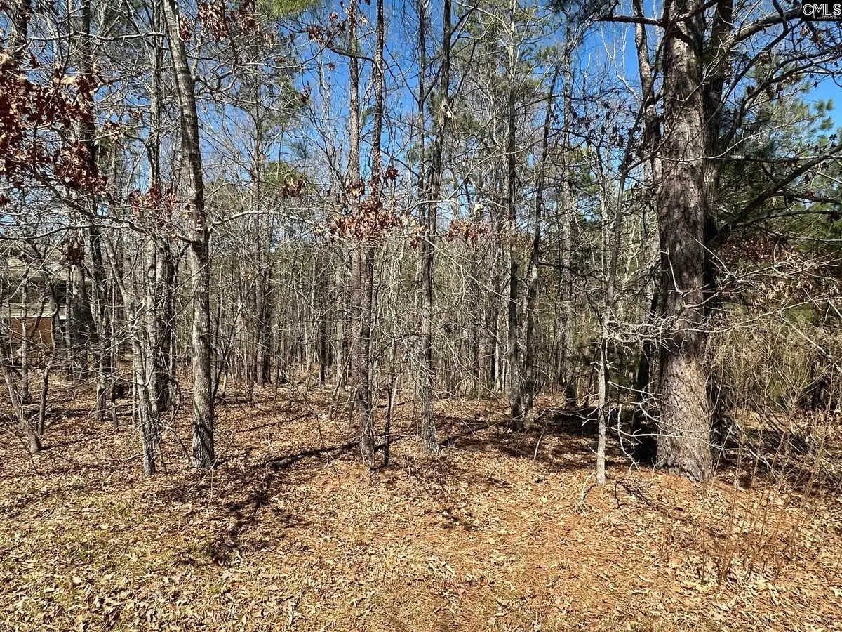 365 Highland Pointe, Columbia, SC 29229 - #1