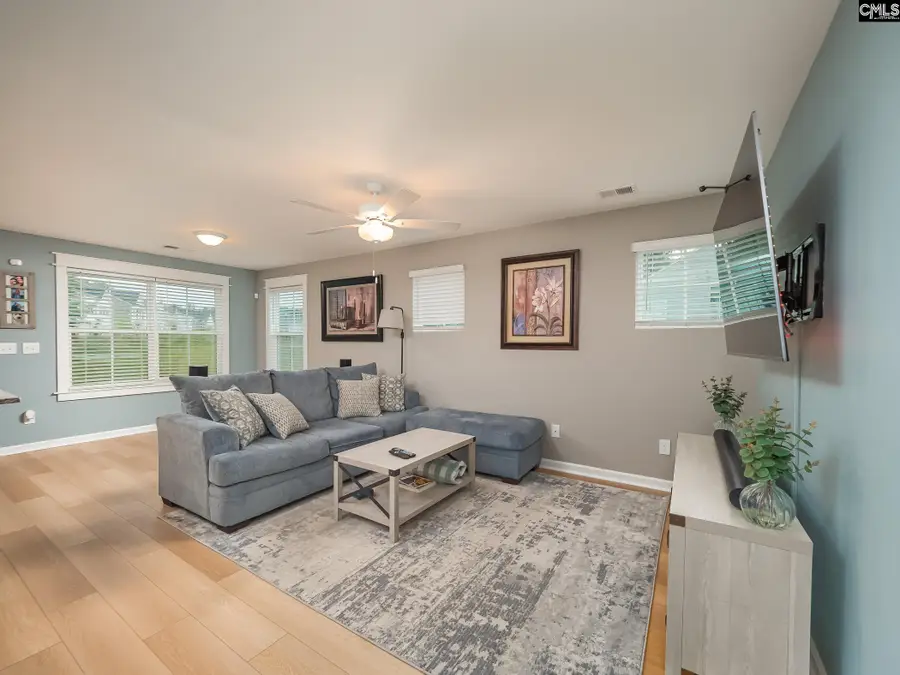 216 Flatsedge Court, Lexington, SC 29072 - #3