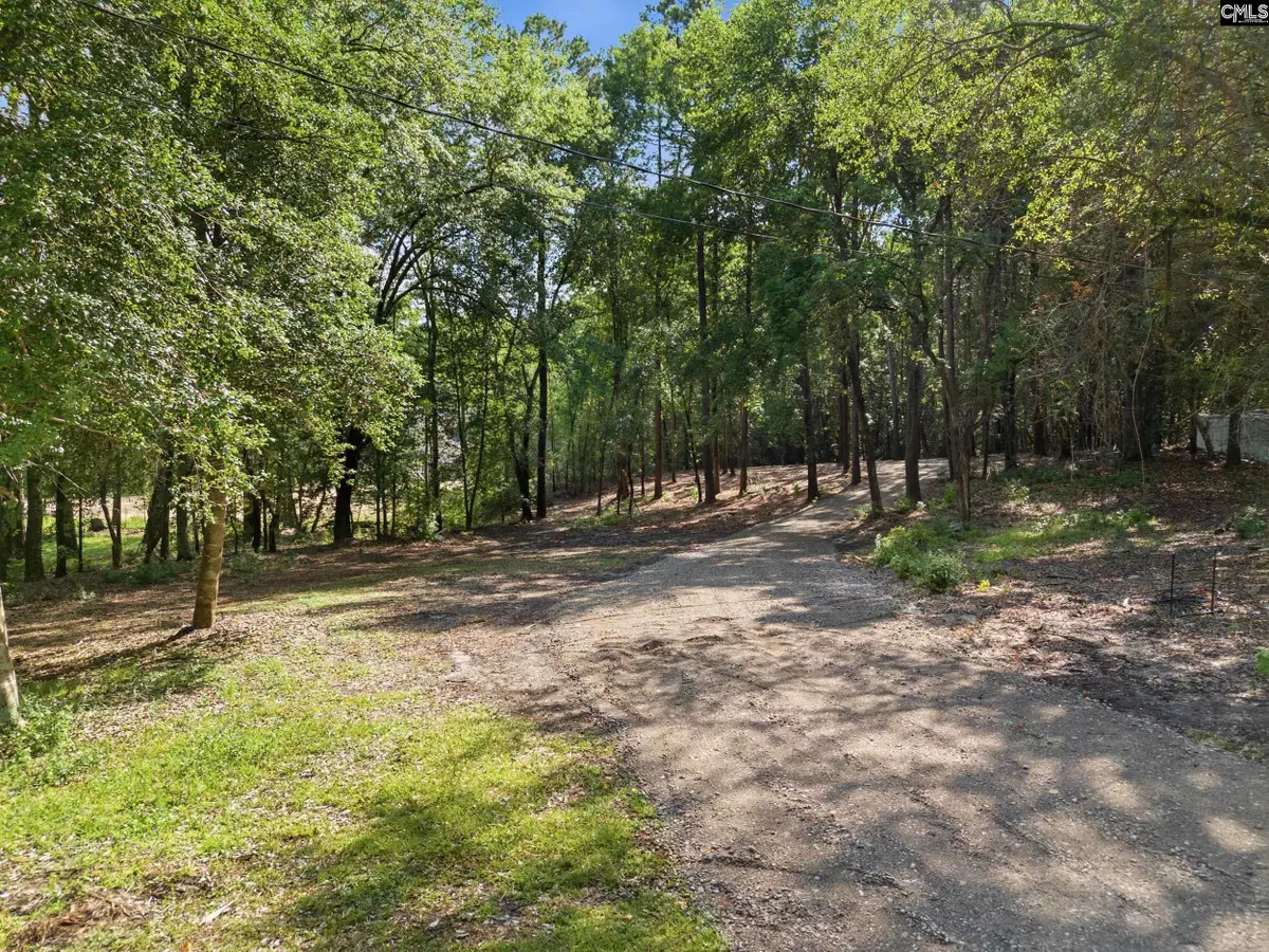 0 Harmon Street, Lexington, SC 29072 - #1