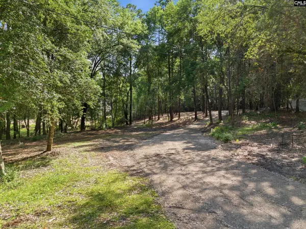 0 Harmon Street, Lexington, SC 29072