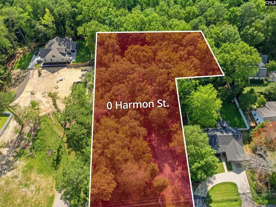 0 Harmon Street, Lexington, SC 29072 - #2